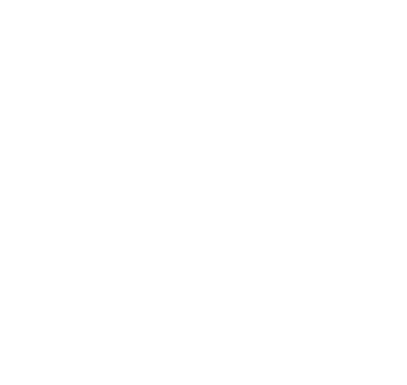 cnfrnc.cz